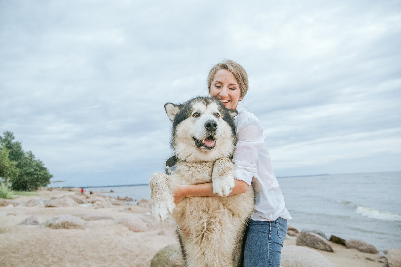 Unde putem merge in vacanta alaturi de animalul de companie?