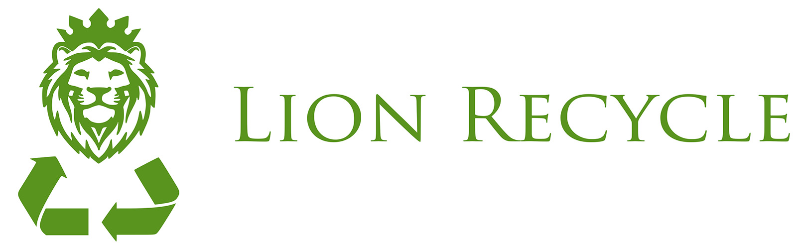 Colectare si reciclare deseuri electrice si electronice; deseuri feroase si neferoase – Lion Recycle