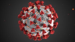 Noua varianta SARS-CoV-2 BA.3.2 (Cicada), un nou pericol la orizont si poate o noua epidemie