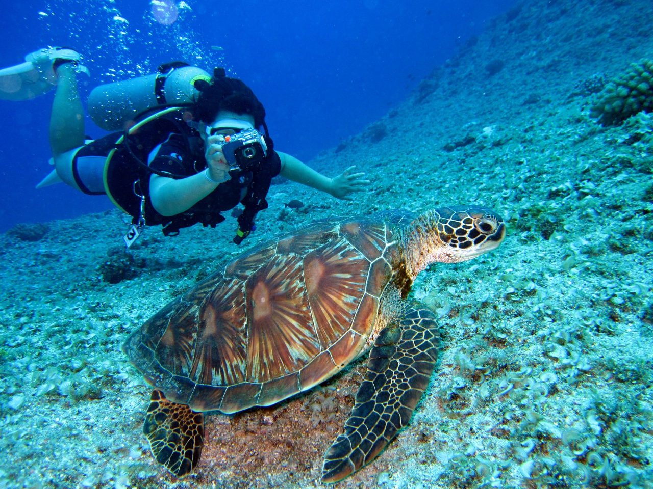 Top destinatii de vacanta pentru luna septembrie, pentru pasionatii de scuba diving, scufundari