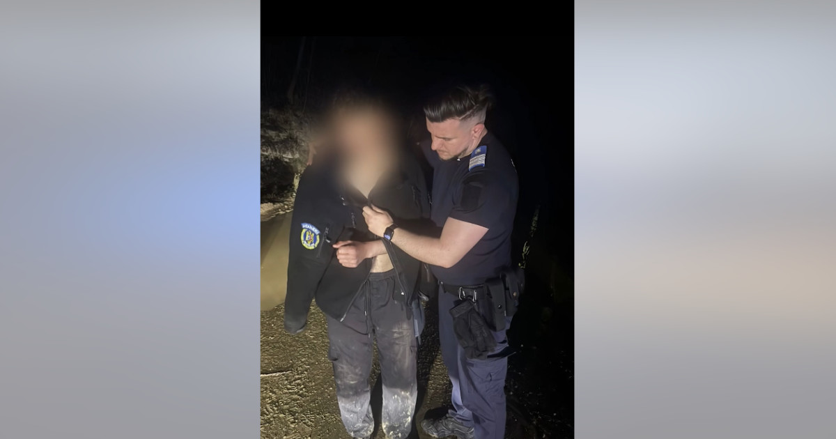 Fuga din fața bestiei: O experiență de supraviețuire în fața unui urs