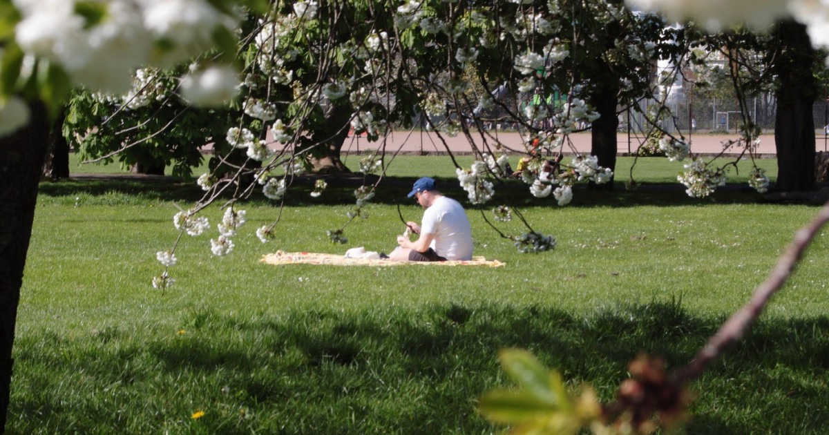 Prognoza Meteo pentru Minivacanța de 1 Mai: Ce Ne Așteaptă în Următoarele Săptămâni