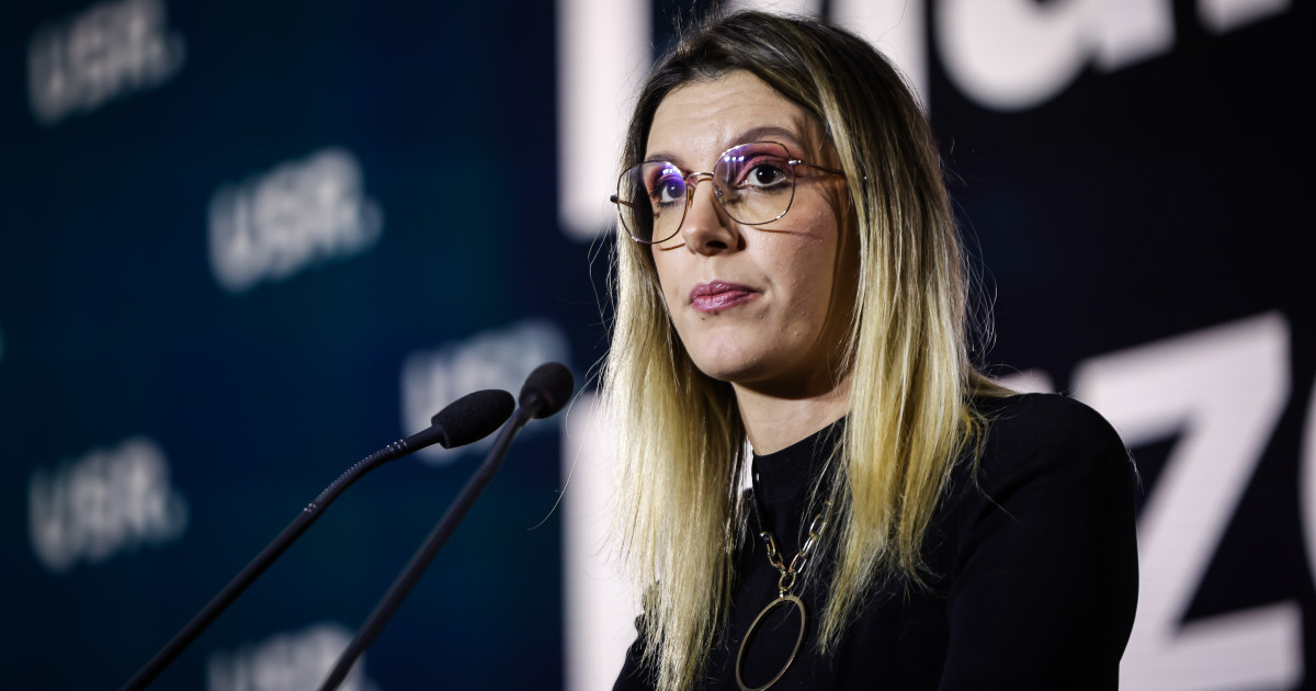 Provocările Sustenabilității în România: Intervențiile Politice și Impactul Asupra Mediului de Afaceri