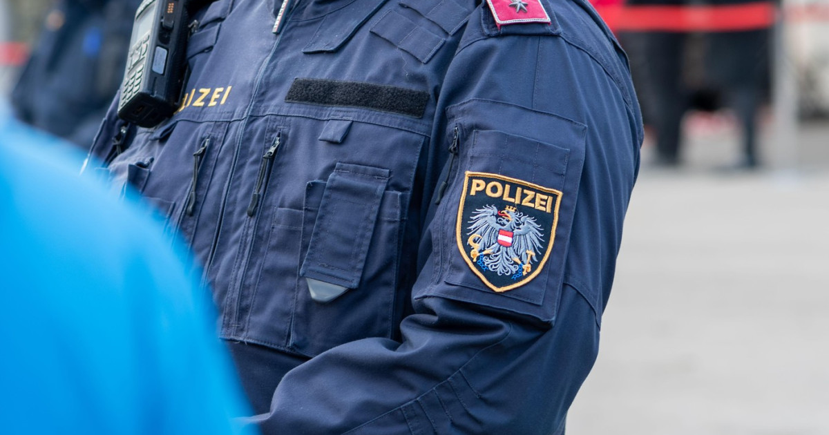 Escrocherii Transfrontaliere: Banda Românească Reținută în Viena și Impactul Asupra Comunității