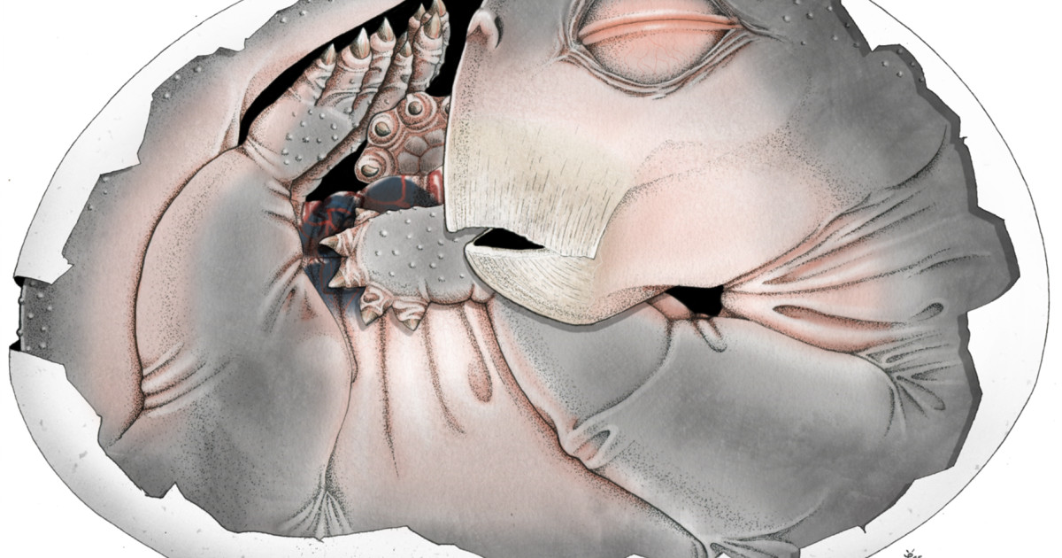 Revoluția în Paleontologie: Descoperirea Ouălor Strămoșilor Mamiferelor și Implicațiile Sale