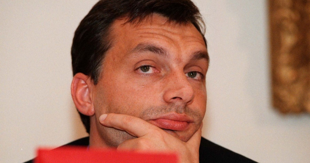 Corupția și Crimele Organizate în Ungaria: Mărturia unui Fost Interlop Despre Legăturile cu Politica