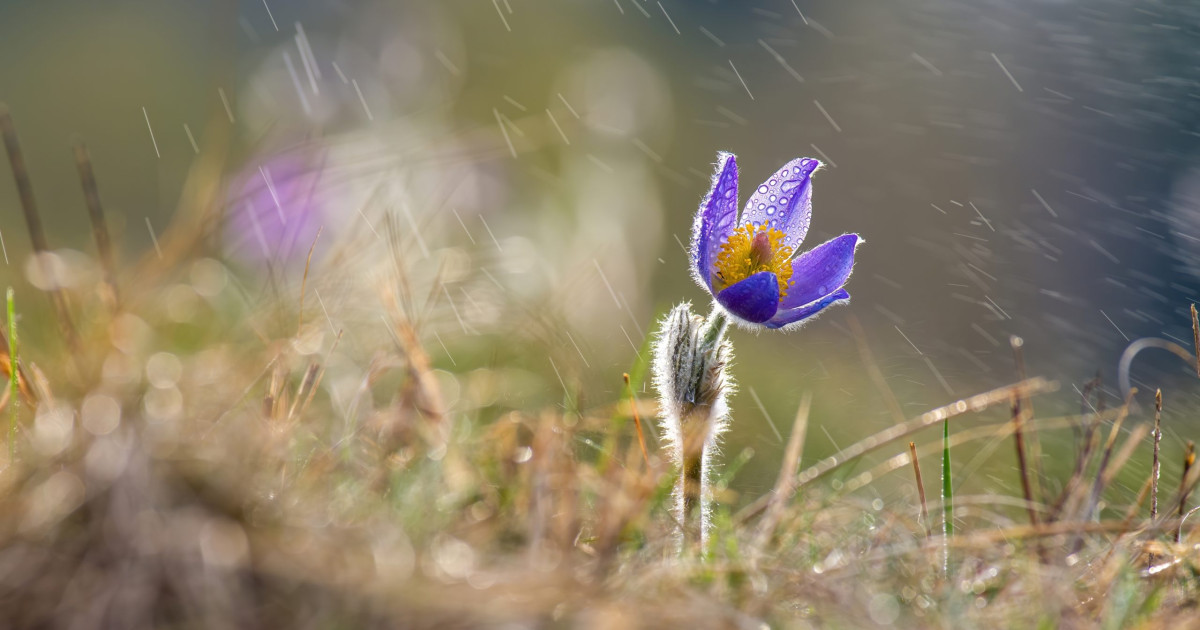 Prognoza Meteorologică: O Privire Detaliată asupra Vremii Schimbătoare în România până pe 19 Aprilie