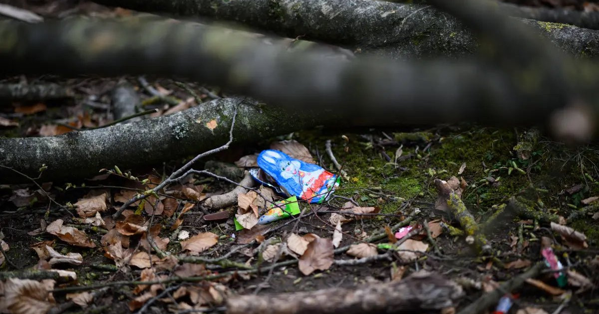 Tragedia din Germania: Cazul copacului căzut și impactul său devastator asupra comunității