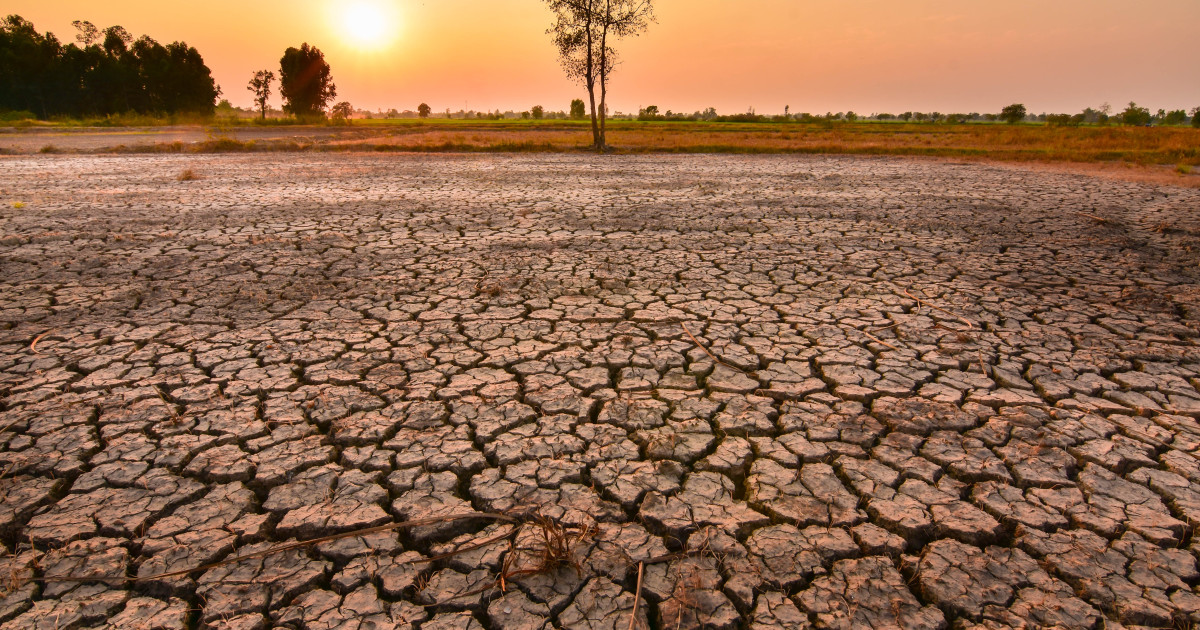 Impactul Fenomenului El Niño: Ce Ne Așteaptă în 2026 și Cum Va Schimba Vremea Globală