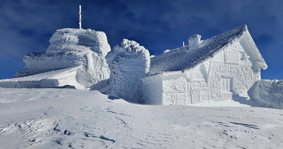 Viața pe Vârful Omu: Între Meteorologie și Fauna Montană