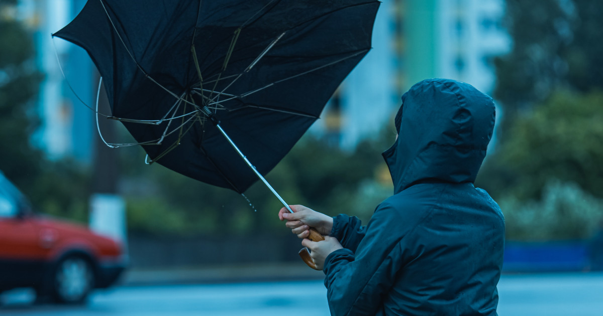 Impactul Vântului Puternic în Moldova: O Analiză Detaliată a Incidentelor și Implicațiilor Acestei Fenomene Meteorologice