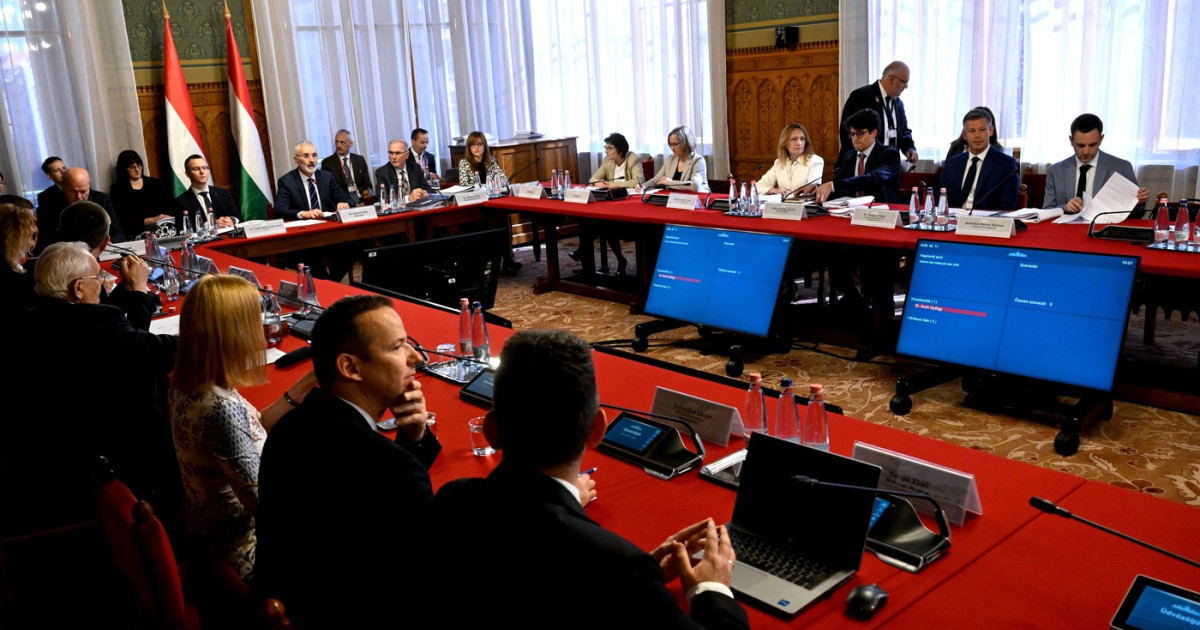 Partidul Tisza și Provocările Relațiilor cu Comunitățile Maghiare din Vecinătate