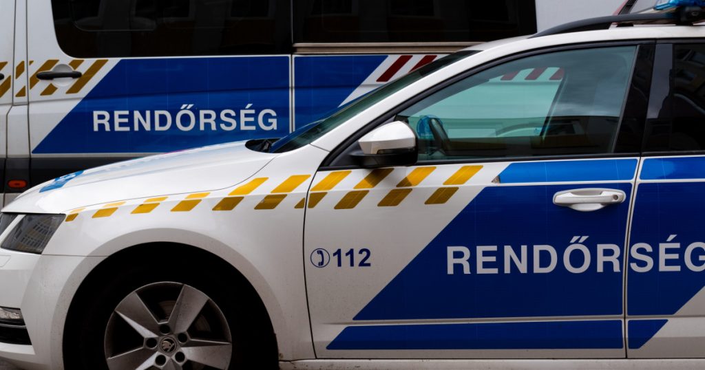 Răpirea de pe autostrada din Austria: Context, implicații și perspective asupra violenței domestice