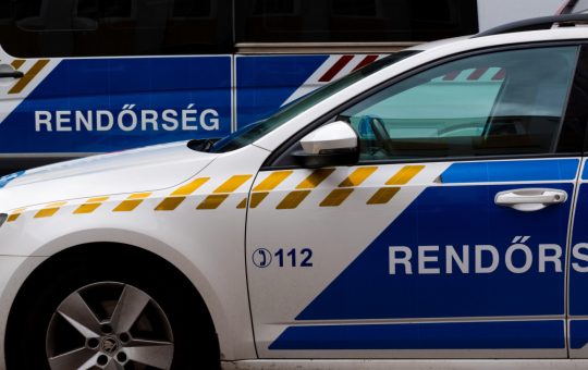 Răpirea de pe autostrada din Austria: Context, implicații și perspective asupra violenței domestice