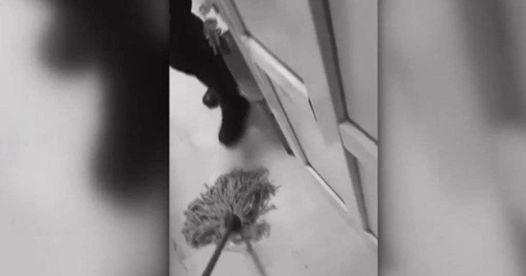 În fața legii și a umanității: incidentul șocant din Olt în care un bărbat a fost pus să-și spele sângele într-o secție de poliție