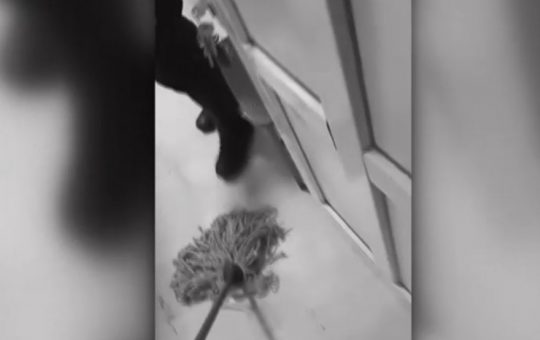 În fața legii și a umanității: incidentul șocant din Olt în care un bărbat a fost pus să-și spele sângele într-o secție de poliție
