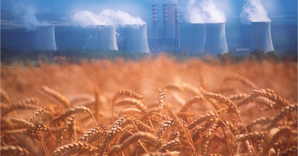 Foamea Ascunsă: Impactul Poluării cu Dioxid de Carbon Asupra Valorii Nutriționale a Alimentelor