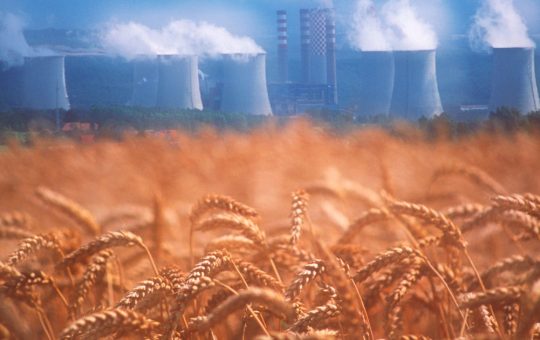 Foamea Ascunsă: Impactul Poluării cu Dioxid de Carbon Asupra Valorii Nutriționale a Alimentelor