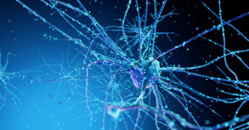 Revoluția Informatică: Cum Neuronii Umani Crescuți în Laborator Transformă Centrele de Date