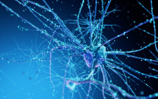 Revoluția Informatică: Cum Neuronii Umani Crescuți în Laborator Transformă Centrele de Date