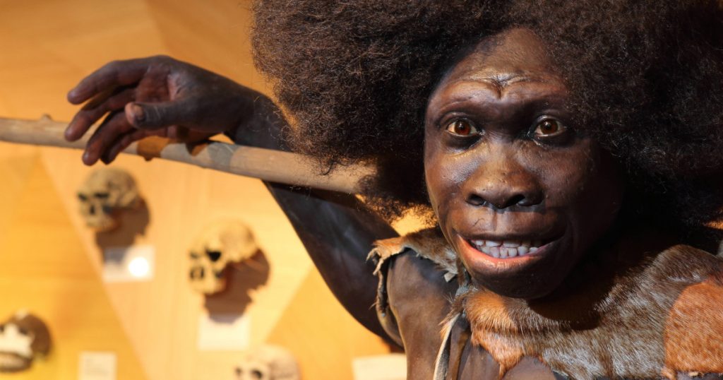 Descoperirile recente privind creierul neanderthalienilor: O nouă lumină asupra dispariției lor misterioase