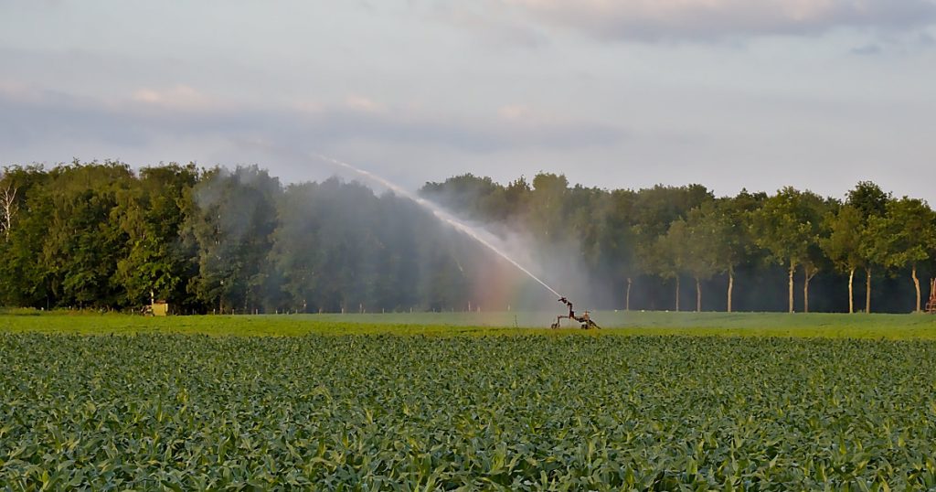 Sprijinul Guvernului pentru Agricultură: Decontarea energiei și alocarea de fonduri pentru legumicultori și zootehnie