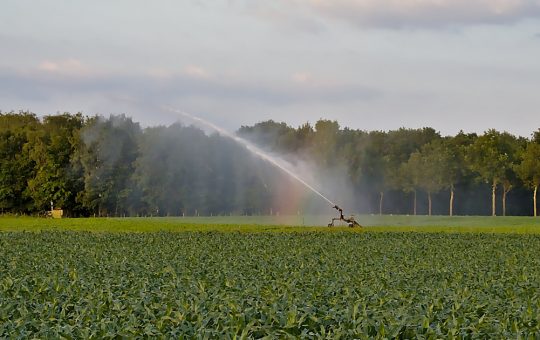 Sprijinul Guvernului pentru Agricultură: Decontarea energiei și alocarea de fonduri pentru legumicultori și zootehnie