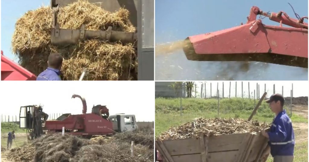 Inovație ecologică în comuna Smeeni: Transformarea resturilor vegetale în îngrășământ natural