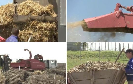 Inovație ecologică în comuna Smeeni: Transformarea resturilor vegetale în îngrășământ natural