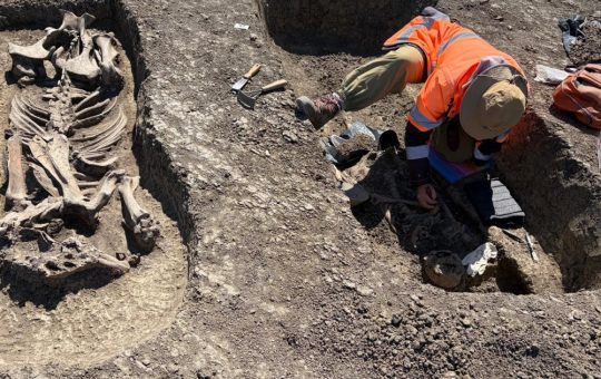 Descoperirea Arheologică de la Timișoara: O Privire Asupra Războinicilor Avari și Practicilor Funerare din Secolele VI-VII D.HR.
