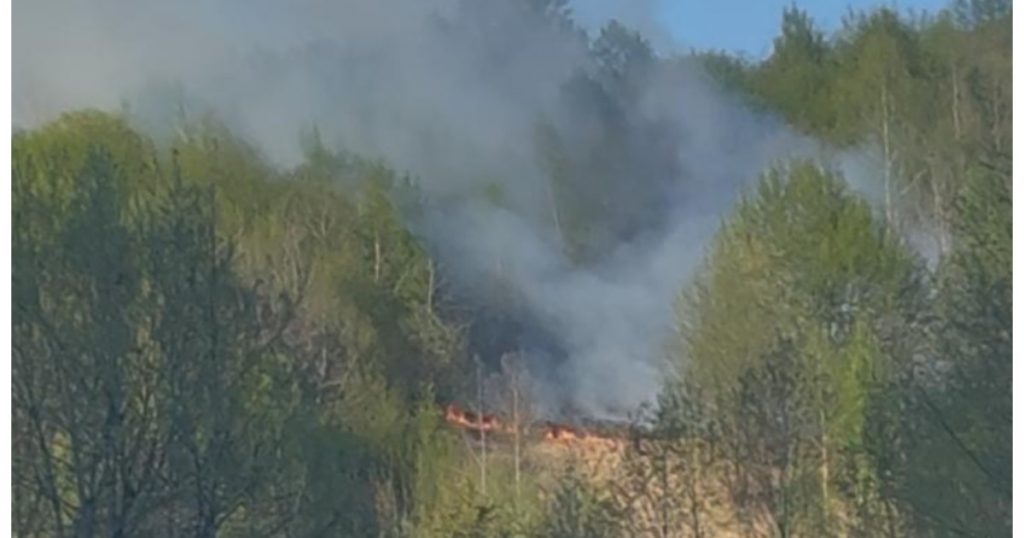 Incendiu de vegetație pe Valea Anieșului: Analiza impactului ecologic și al intervenției în Bistrița-Năsăud