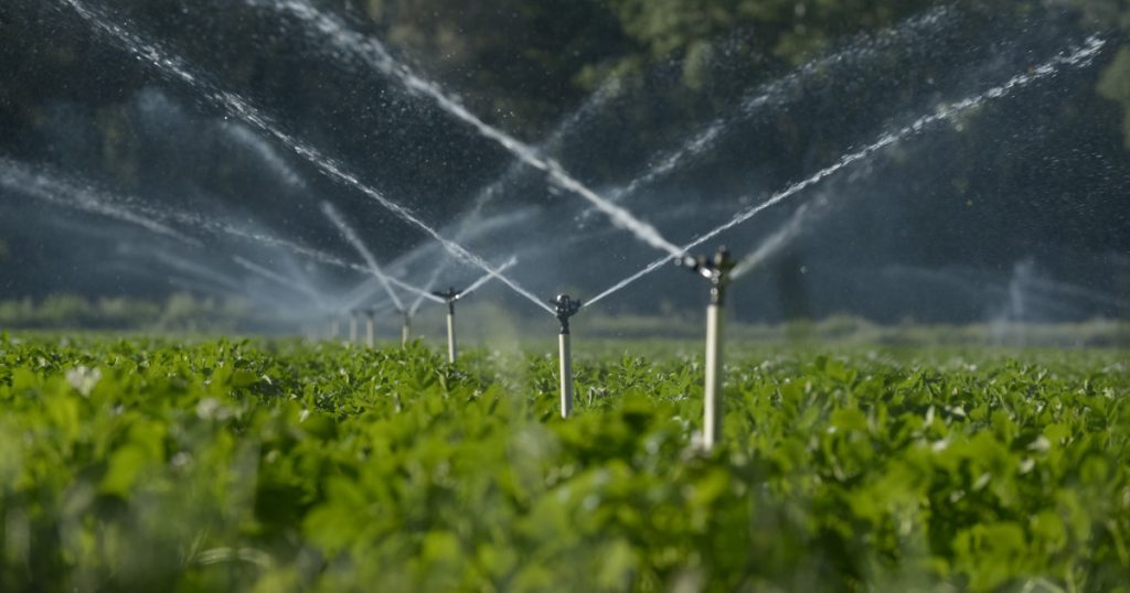 Campania de Irigații: O Necessitate Vitală pentru Agricultură în Fața Secetei