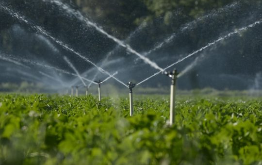 Campania de Irigații: O Necessitate Vitală pentru Agricultură în Fața Secetei