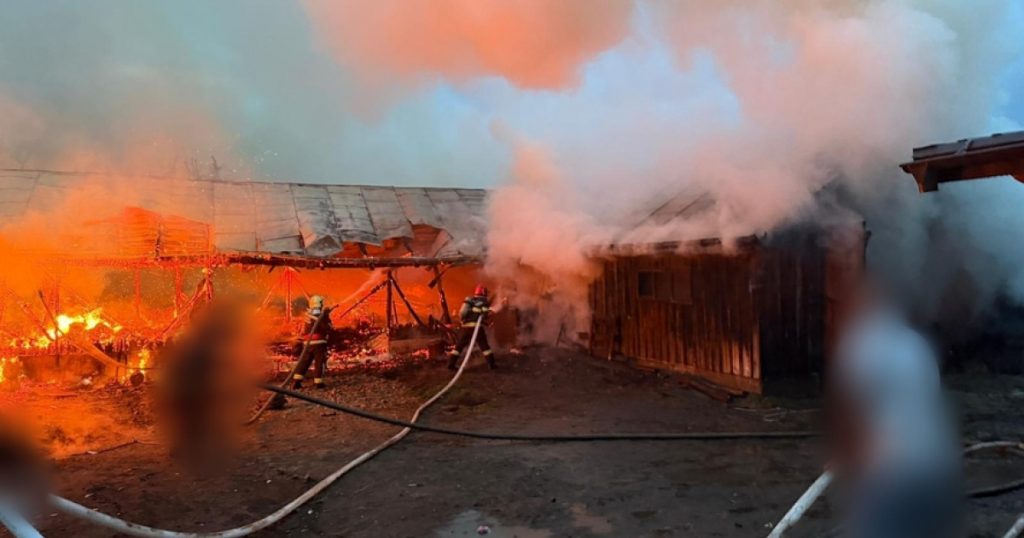 Incendiul devastator din Suceava: Impact, cauze și perspective asupra adăposturilor de animale