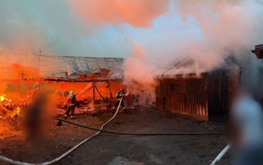 Incendiul devastator din Suceava: Impact, cauze și perspective asupra adăposturilor de animale