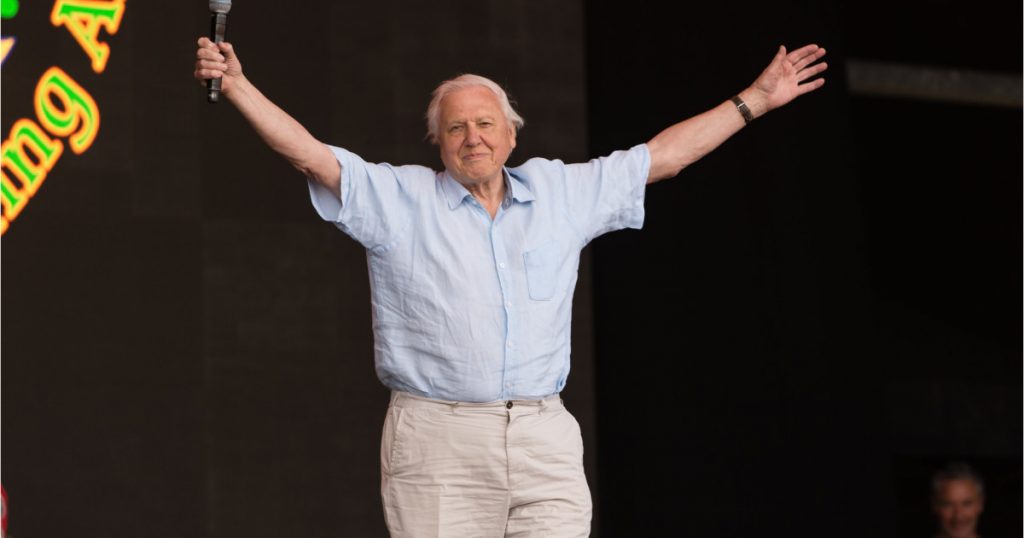 David Attenborough: O viață dedicată naturii – La 100 de ani de poveste și activism ecologic