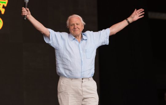 David Attenborough: O viață dedicată naturii – La 100 de ani de poveste și activism ecologic