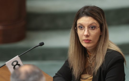 Diana Buzoianu și Viziunea pentru o Mișcare Reformistă în România: O Analiză Detaliată