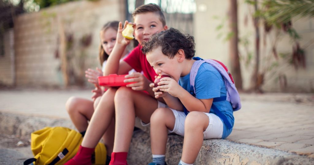 Un Pas Spre Educație Inclusivă: Programul Național „Masă Sănătoasă” și Impactul său Asupra Elevilor din România