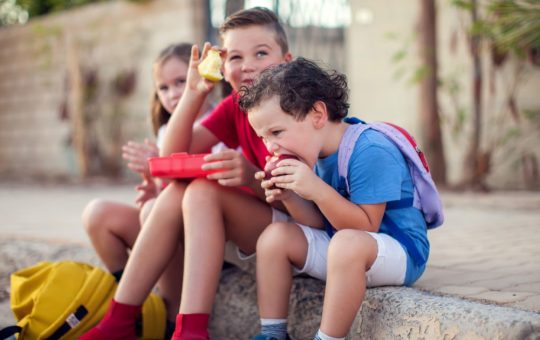 Un Pas Spre Educație Inclusivă: Programul Național „Masă Sănătoasă” și Impactul său Asupra Elevilor din România