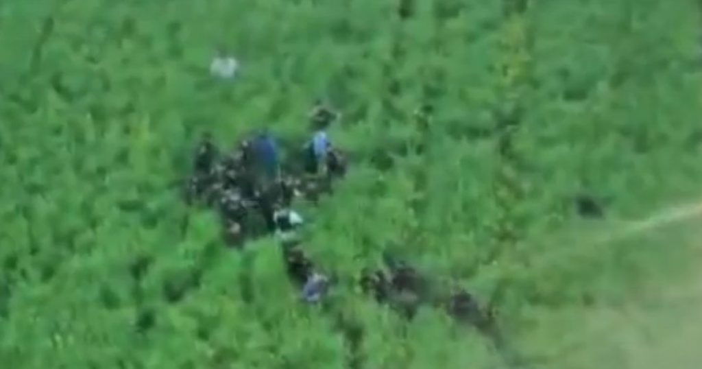 Crima din Bihor: Un caz cutremurător care ridică întrebări asupra siguranței comunității