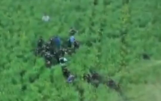 Crima din Bihor: Un caz cutremurător care ridică întrebări asupra siguranței comunității