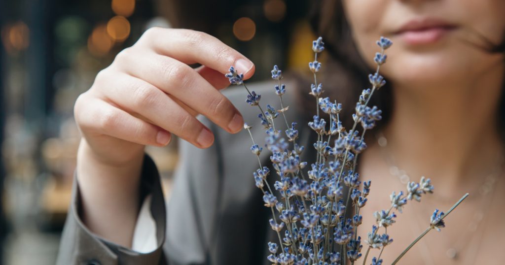 Lavanda: De la Plantă Decorativă la Ingredient de Succes în Afaceri Românești
