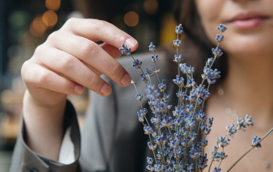 Lavanda: De la Plantă Decorativă la Ingredient de Succes în Afaceri Românești