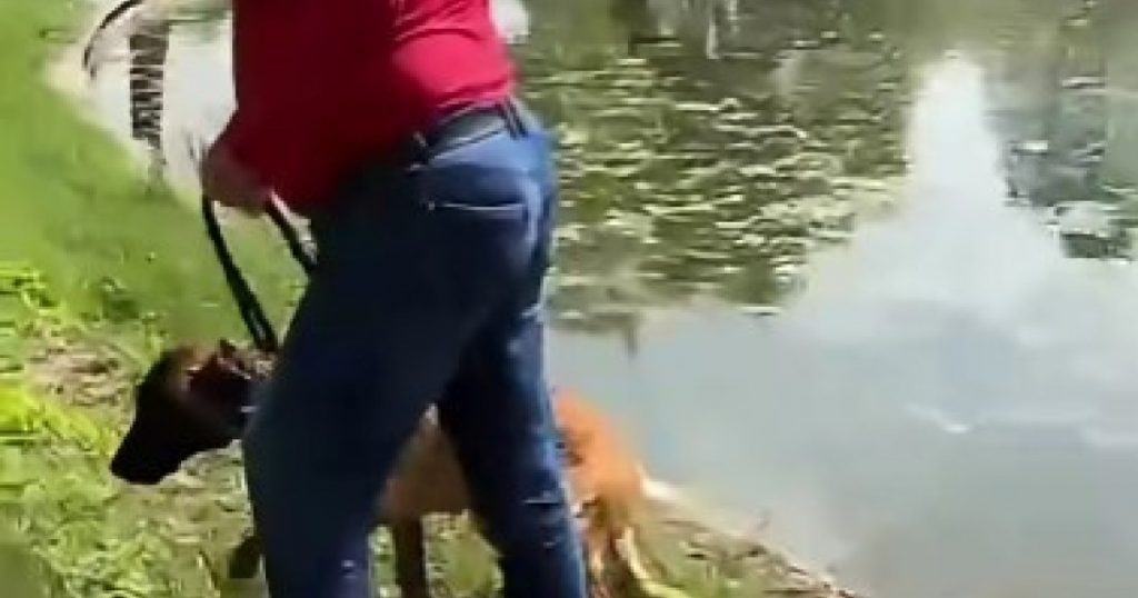Un incident șocant în Parcul Tineretului: încercarea de înec a unui câine și impactul asupra societății românești