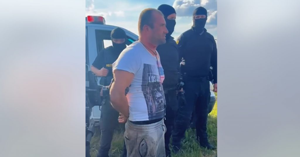 Tragedia din Bihor: O analiză detaliată a intervenției autorităților în cazul fetei ucise