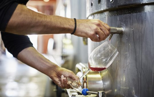 Impactul Taxelor Vamale și Creșterea Producției de Vin în România: O Analiză Detaliată a Comerțului Global cu Vin în 2025