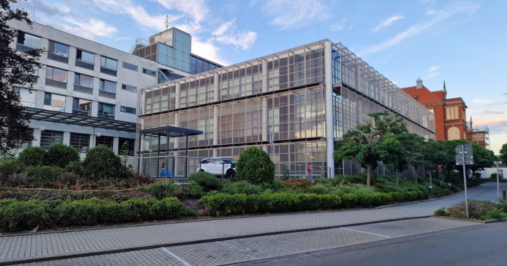 Scandalul abuzurilor sexuale în Germania: Un pediatru acuzat de 130 de infracțiuni grave și implicațiile acestora asupra sistemului medical