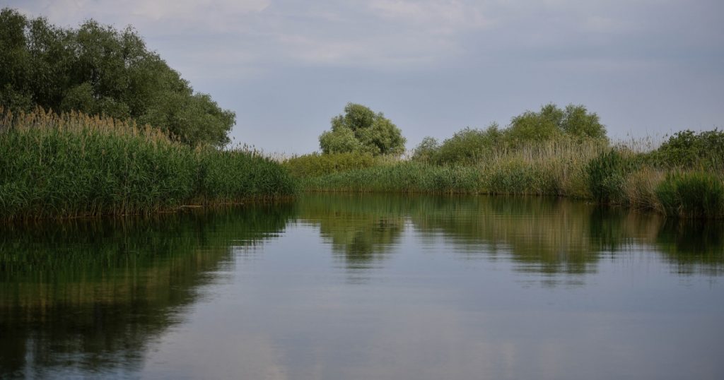 Revitalizarea turismului în Delta Dunării: Proiectul lui Ivan Patzaichin salvat prin fonduri norvegiene