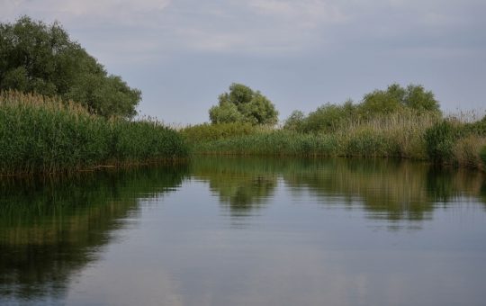 Revitalizarea turismului în Delta Dunării: Proiectul lui Ivan Patzaichin salvat prin fonduri norvegiene
